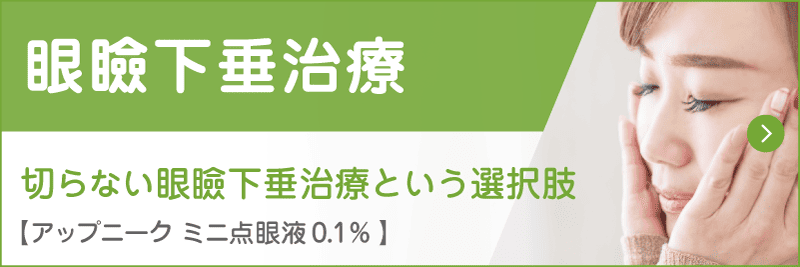 眼瞼下垂治療 切らない眼瞼下垂治療という選択肢 アップニーク ミニ点眼液0.1%